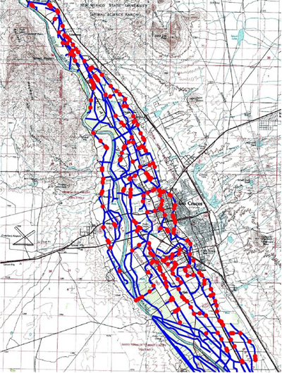 Appendix A-1. Map of the 299 randomly selected sampling locations along the Leasburg/Las Cruces/Mesilla canal system.